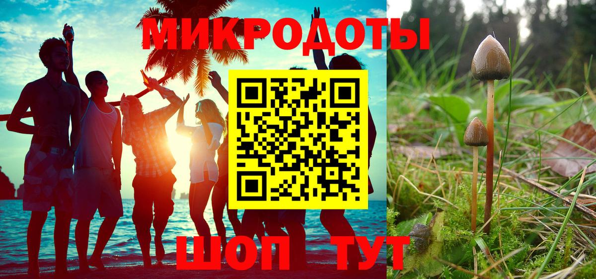 Галлюциногенные грибы Psilocybine cubensis Лесной